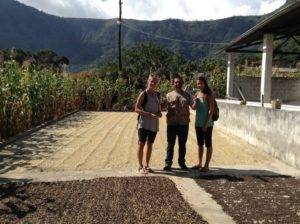 Guatemala Select Coffee Beans | Wholesale | Bulk Roasted Coffee