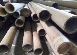 Asian Bamboo for Sale