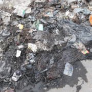 Bio Degradable Plastic Bags Lake Atitlan
