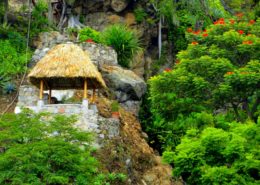 Lake Atitlan Botanical Garden