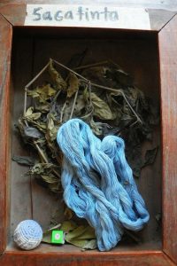 Guatemala Herbal Medicine Shamans