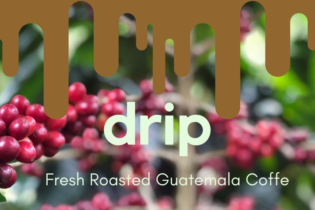 Best Guatemala Coffee Farms