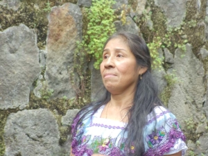 Guatemala Herbal Medicine Retreats