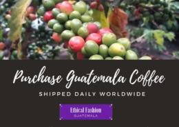 Guatemala Premium Bulk Coffee Beans | Wholesale