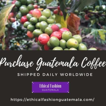 Guatemala Premium Bulk Coffee Beans | Wholesale