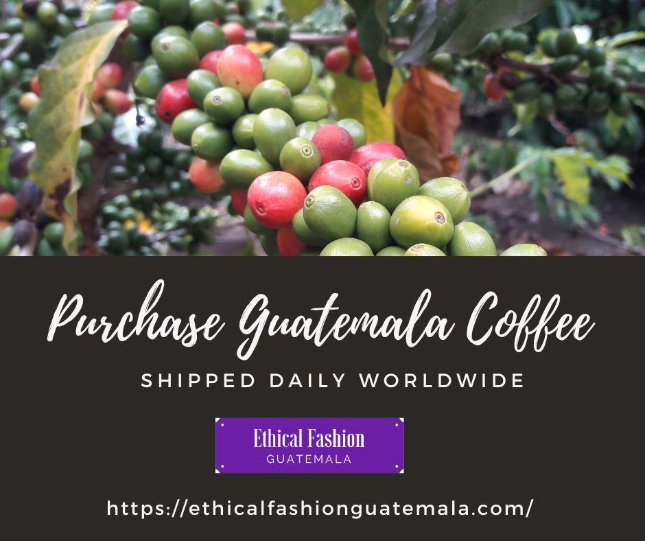 Ethical Fashion Coffee Exporting | Coffee Exporting by DHL