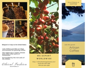 A Guide To Guatemalan Coffee