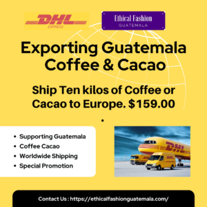 Shipping Coffee or Cacao Worldwide