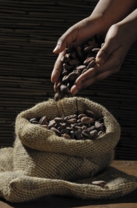 Guatemala Roasted Cacao Beans