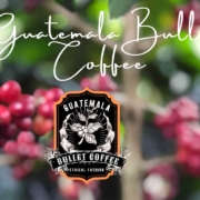 Guatemala Original Bullet Coffee