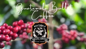 Guatemala Original Bullet Coffee