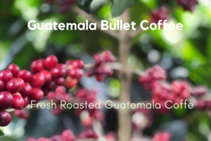 Guatemala Bullet Coffee Recipe
