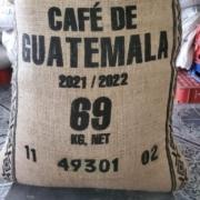Guatemala Bulk Green Coffee Beans | Wholesale