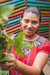 Ethical Fashion Guatemala Artists