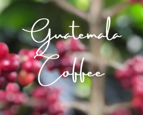 Guatemala Coffee History