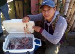 Guatemala Fresh Fish Delivered