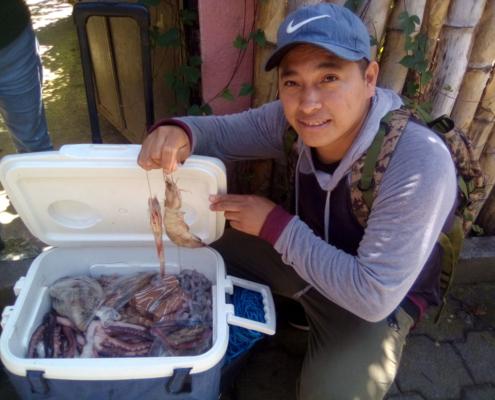 Guatemala Fresh Fish Delivered