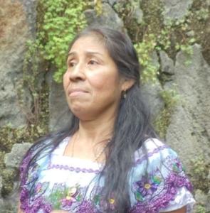 Guatemala Wellness Camp Ancestral Healing