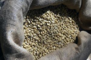 Guatemalan Arabica coffee beans