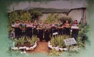 Healing Retreats Guatemala 2023