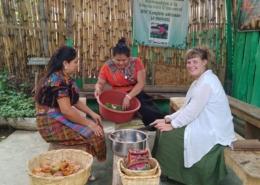 Guatemala Herbal Medicine Workshops