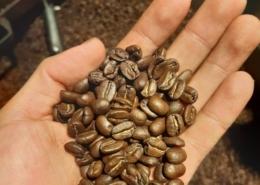 Guatemala Arabica Coffee Beans