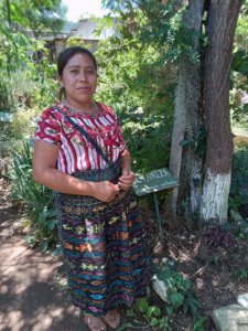 Guatemala Herbal Medicine Shamans and Healers