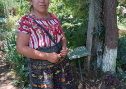 Guatemala Herbal Medicine Shamans and Healers