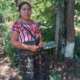 Guatemala Herbal Medicine Shamans and Healers