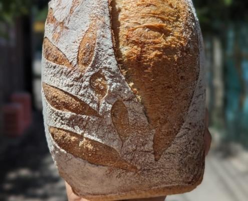 Lake Atitlan Sourdough Bread