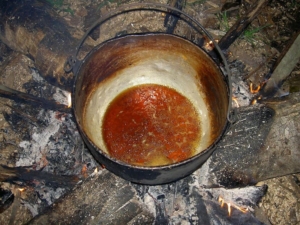 Ayahuasca use in Guatemala