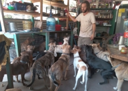 Lake Atitlan Dog Rescue