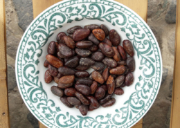 The Truth Cacao Ceremonies