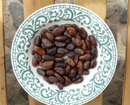 The Truth Cacao Ceremonies