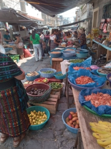 Guatemala Food Quality Markets
