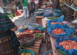 Guatemala Food Quality Markets