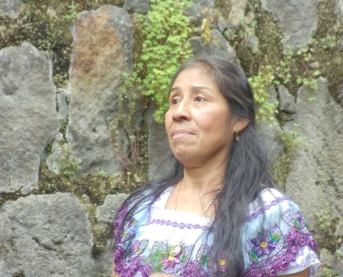 Mayan Healers Offer Authentic