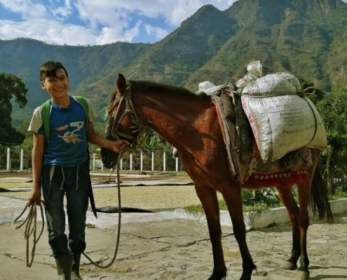 Single-origin Microlot Coffee